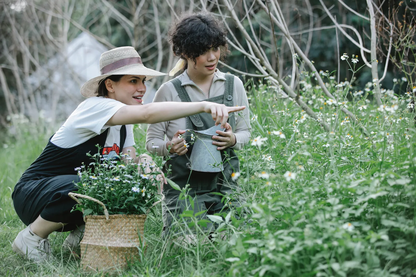 Professional gardeners maintaining a real residential garden