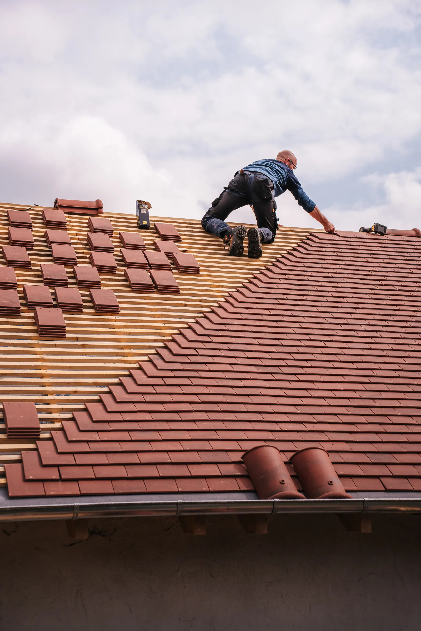 Professional roof, damp & home fabric service